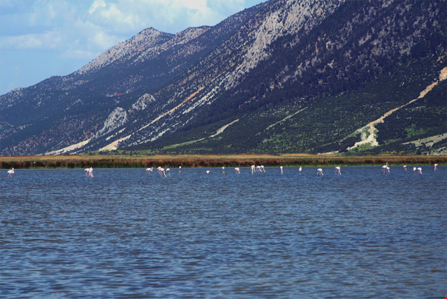 Acıgöl (Çardak Gölü)