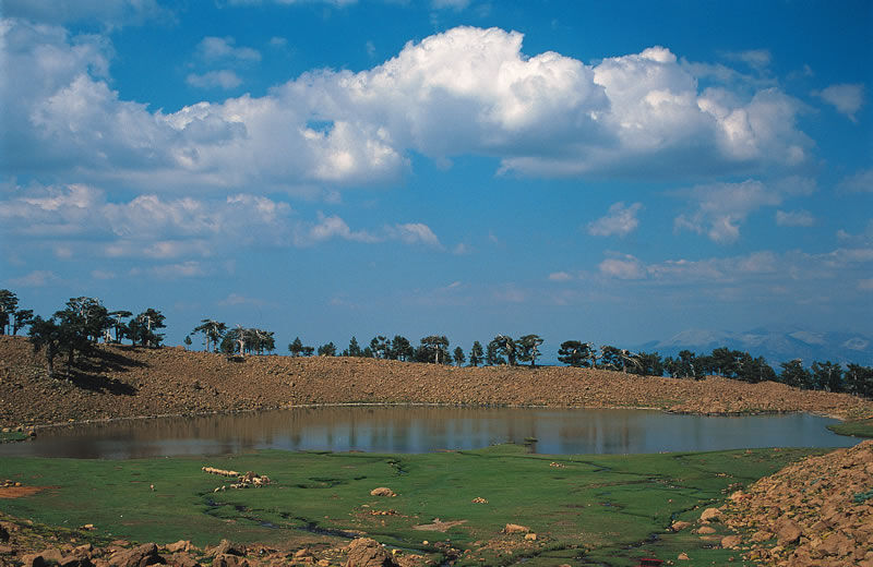 Beyağaç Kartal Gölü