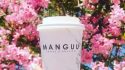 Manguu Coffee Roastery
