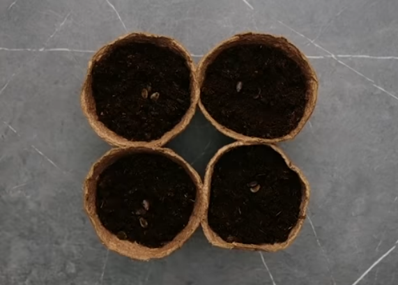 BAHÇENİZ İÇİN 21 ŞAHANE FİKİR