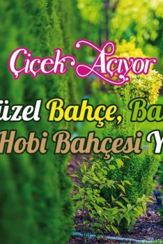 Denizli’de En Güzel Bahçe, Balkon, Teras ve Hobi Bahçesi Yarışması
