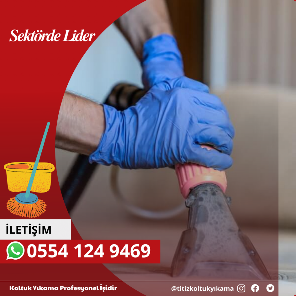 TİTİZ KOLTUK YIKAMA